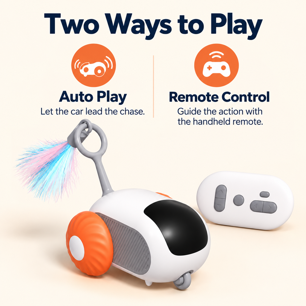 Automatic and remote-controlled play modes