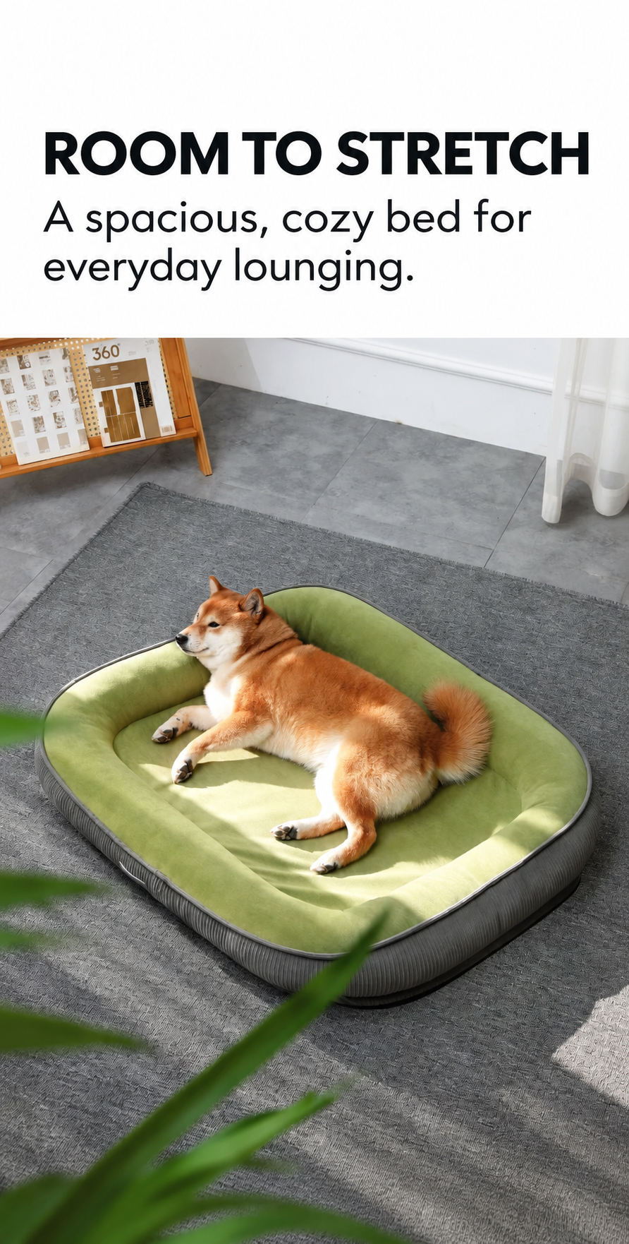 Dog relaxing in a spacious green and gray bolster pet bed